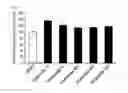 Fig. 03 - Method for screening activator of mitochondrial activity