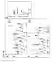 Fig. 45 - METHODS FOR DIAGNOSIS, PROGNOSIS AND METHODS OF TREATMENT