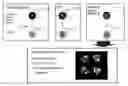 Fig. 01 - MULTIANALYTE MOLECULAR ANALYSIS USING APPLICATION-SPECIFIC RANDOM PARTICLE ARRAYS
