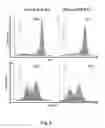 Fig. 09 - HLA G-modified cells and methods