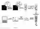Fig. 02 - METHODS FOR PROTEOMIC PROFILING USING NON-NATURAL AMINO ACIDS