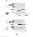 Fig. 04 - PLASMIDS COMPRISING INTERNAL RIBOSOMAL ENTRY SITES AND USES THEREOF