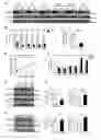 Fig. 01 - Biomarkers of congnitive dysfunction