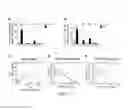 Fig. 06 - Biomarkers of congnitive dysfunction