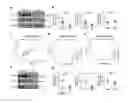 Fig. 07 - Biomarkers of congnitive dysfunction