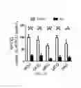 Fig. 35 - Biomarkers of congnitive dysfunction