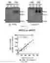 Fig. 41 - Biomarkers of congnitive dysfunction