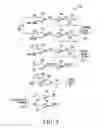 Fig. 04 - Multi-bit data flip-flop with scan initialization