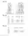 Fig. 02 - Variable magnification optical system and image pickup apparatus using the same