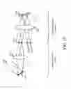 Fig. 18 - Method and apparatus for head worn display with multiple exit pupils