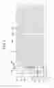 Fig. 06 - Liquid crystal display and method for manufacturing the same