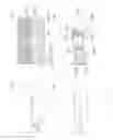 Fig. 40 - Driver assistance apparatus and vehicle