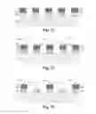 Fig. 09 - Photomask having a plurality of shielding layers