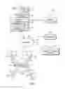 Fig. 02 - Realtime product backup delivery