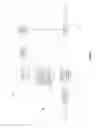Fig. 02 - AUTHENTICATED SCANNABLE CODE SYSTEM