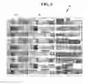 Fig. 06 - Method and system for managing and displaying product images with progressive resolution display
