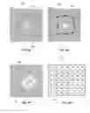 Fig. 06 - Vessel analysis in multiplexed images