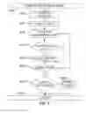 Fig. 07 - Vessel analysis in multiplexed images