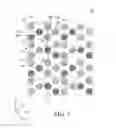 Fig. 08 - Organic light emitting display device