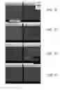 Fig. 06 - Devices including at least one adhesion layer and methods of forming adhesion layers
