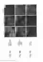 Fig. 08 - SAMPLE PREPARATION METHOD AND SAMPLE PREPARATION DEVICE FOR MALDI INCLUDING DEPOSITING MATRIX SUBSTANCE ON SAMPLE SUBSTRATE IN TWO STEPS