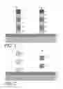Fig. 02 - Stacked nanowire devices