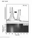 Fig. 22 - Physical forms of MXene materials exhibiting novel electrical and optical characteristics