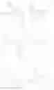 Fig. 82 - Organic light-emitting device