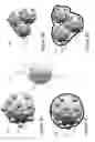 Fig. 08 - Coated pre-lithiated anode material particles and cross-linked polymer coatings