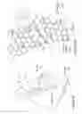 Fig. 07 - Lithium borates and phosphates coatings