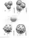 Fig. 08 - Lithium borates and phosphates coatings