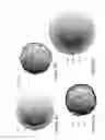 Fig. 09 - Lithium borates and phosphates coatings