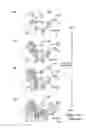 Fig. 02 - Partly immobilized ionic liquid electrolyte additives for lithium ion batteries