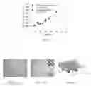 Fig. 09 - Nanopillar-based articles and methods of manufacture
