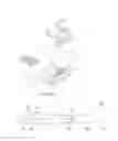 Fig. 02 - Downloader gender case
