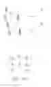 Fig. 01 - MULTI-USER MULTIPLE INPUT MULTIPLE OUTPUT COMMUNICATIONS IN WIRELESS LOCAL AREA NETWORKS AND WIRELESS TRANSMIT AND RECEIVER UNITS