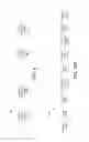 Fig. 10 - MULTI-USER MULTIPLE INPUT MULTIPLE OUTPUT COMMUNICATIONS IN WIRELESS LOCAL AREA NETWORKS AND WIRELESS TRANSMIT AND RECEIVER UNITS