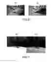 Fig. 07 - Image pickup apparatus, image pickup method, and program
