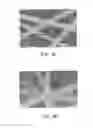 Fig. 06 - Printed circuit, thin film transistor and manufacturing method thereof
