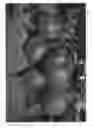 Fig. 01 - Apple tree named 'UEBI 406/1'