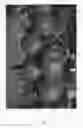 Fig. 08 - Apple tree named 'UEBI 406/1'