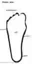 Fig. 01 - Hosiery with Foot Cushions