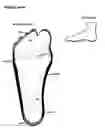 Fig. 04 - Hosiery with Foot Cushions