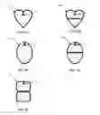 Fig. 06 - Adjustable bra strap, brassiere with adjustable straps, and method for adjusting and securing straps