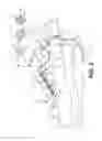 Fig. 03 - Footwear having removable motorized adjustment system