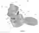 Fig. 02 - Cosmetic stamp and method of using same