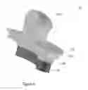 Fig. 09 - Cosmetic stamp and method of using same