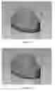 Fig. 12 - Cosmetic stamp and method of using same