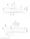 Fig. 08 - Upright vacuum cleaner