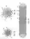 Fig. 09 - MONOLITHIC ULTRASONIC IMAGING DEVICES, SYSTEMS AND METHODS